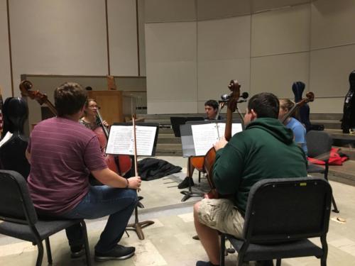 Cello Sectional